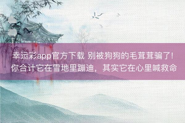 幸运彩app官方下载 别被狗狗的毛茸茸骗了! 你合计它在雪地里蹦迪，其实它在心里喊救命