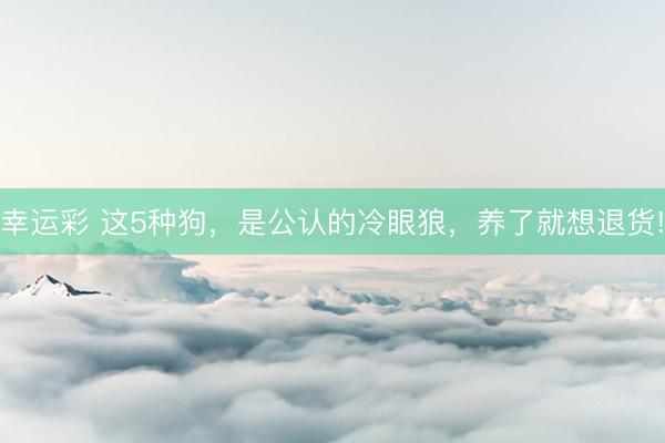 幸运彩 这5种狗，是公认的冷眼狼，养了就想退货!