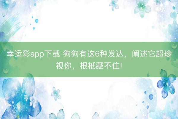 幸运彩app下载 狗狗有这6种发达，阐述它超珍视你，根柢藏不住!