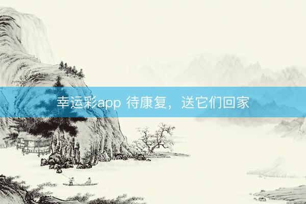 幸运彩app 待康复，送它们回家