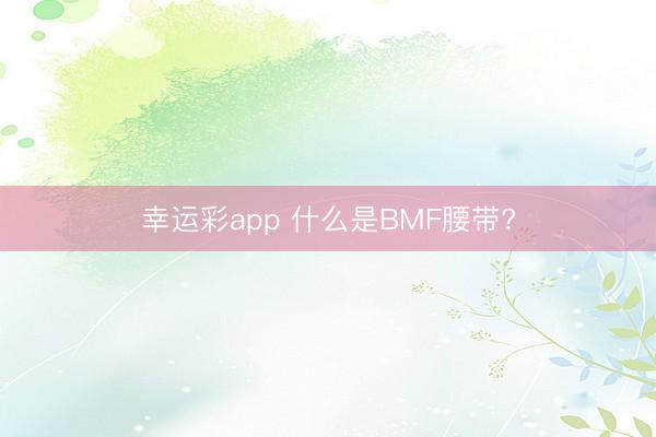 幸运彩app 什么是BMF腰带?